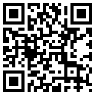 孤独的鸟儿v3.8