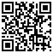 飞翔挂机APP
