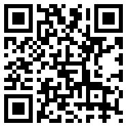 dynamicsport下载