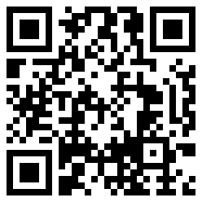 Radmin3.5.2.1完美破解版
