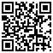 V10皮皮派对APP