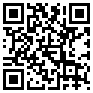 宝可梦白金ndsapp