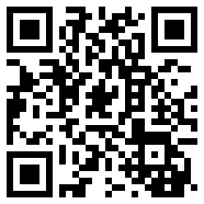 战争公司中文版
