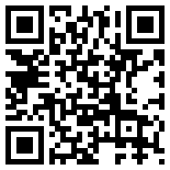 银河拍击GalaxyFlap1.3