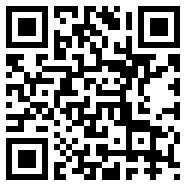 次元站正式版