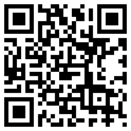 龙枪online