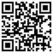 黑洞vp4.0.2